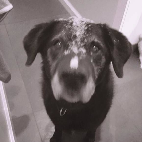 Meet your Posher, Nicole - Picture 1 of 1